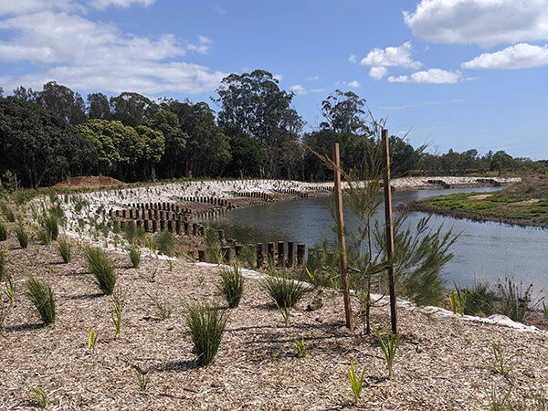 Pine Rivers Park Riverbank Stabilisation