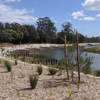 Pine Rivers Park Riverbank Stabilisation